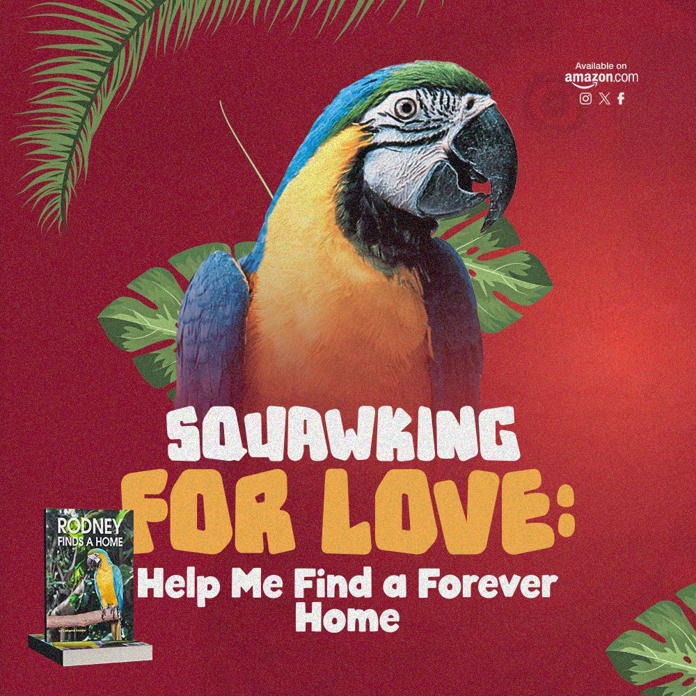 CatherineFor01's tweet photo. Let's prove that size doesn't matter when it comes to sharing love and #happiness.

I'm a nice and kind companion. People might overlook me, thinking my cage is too big, but all I want is a loving #family.

Get it on Amazon!
https://t.co/NJGglBk7TI
#EscapeInProse #ParrotedPages https://t.co/rs3dpeSDzN