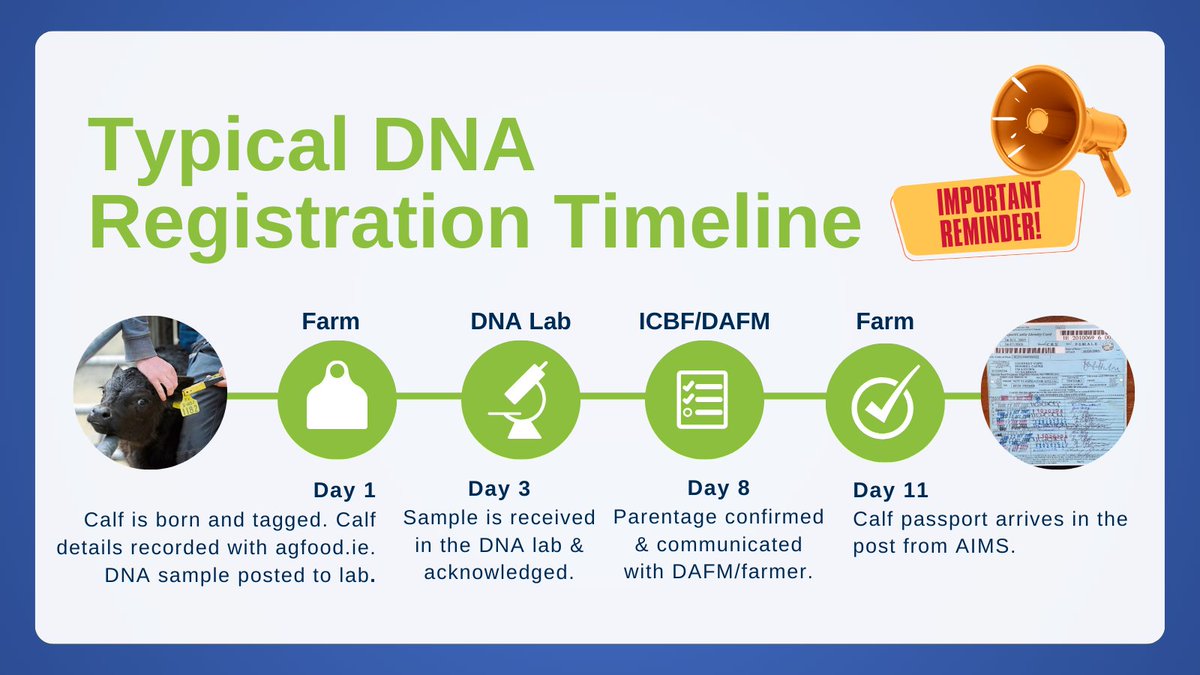 Including postage, the whole process, from tagging to the issuing of the animal’s passport can take on average 10-12 days. #DNAReg