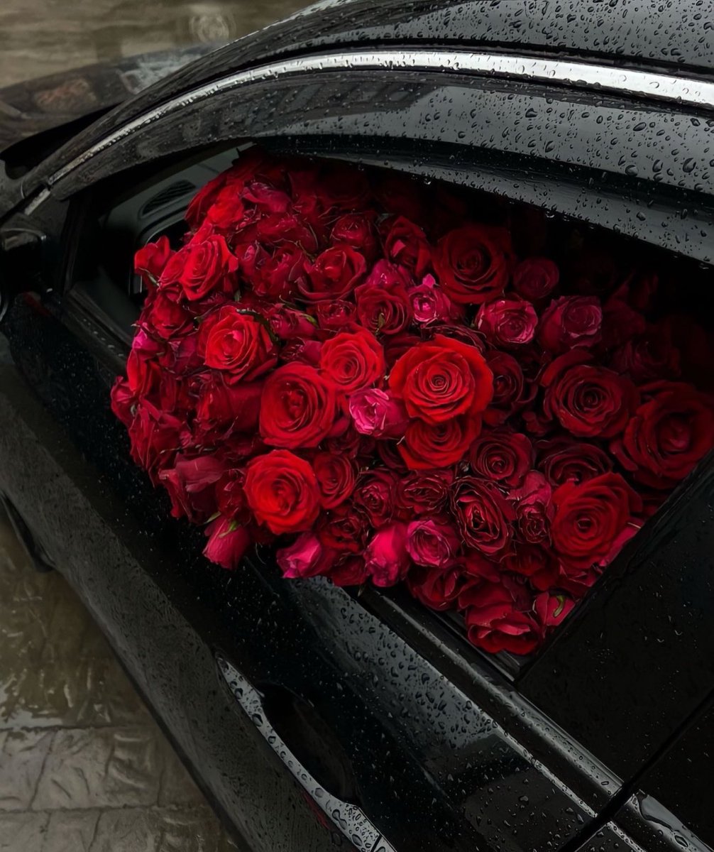 i3Moment's tweet photo. Red roses https://t.co/ZWynU3E0x9