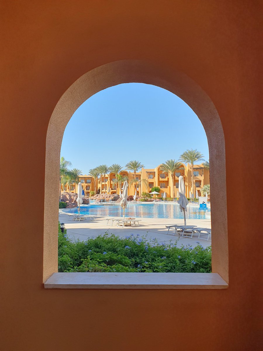RachelDex's tweet photo. Hurghada, Egypt 🇪🇬 🌴🌞 https://t.co/jADaMayh4r