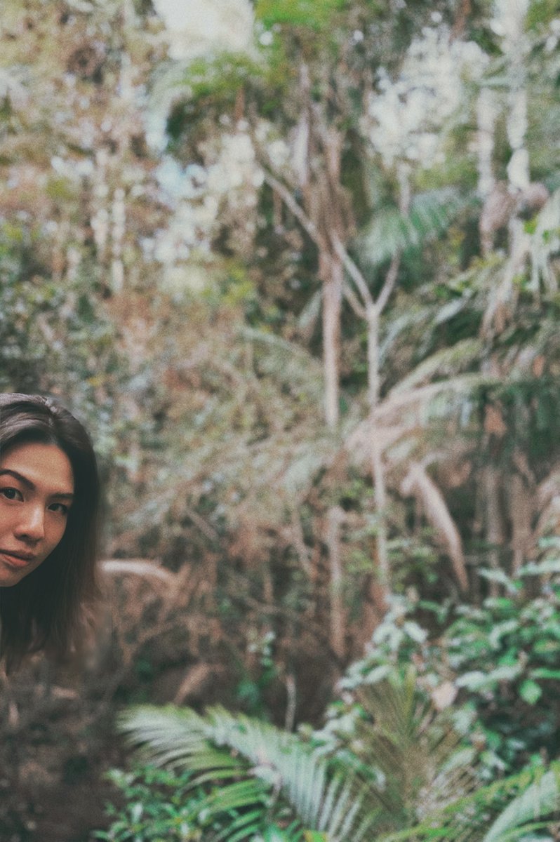 bellepianist's tweet photo. Three Birds is the latest addition to the Traveller's Listening Loungeย playlist, head to the link below to continue your journey into the forest with artists such as @floatingpoints @ryuichisakamoto & @brahem_official ๐งโ๏ธย #threebirds #newmusic #Playlist
https://t.co/MLzRasLNtV https://t.co/S2ij4JCVIv