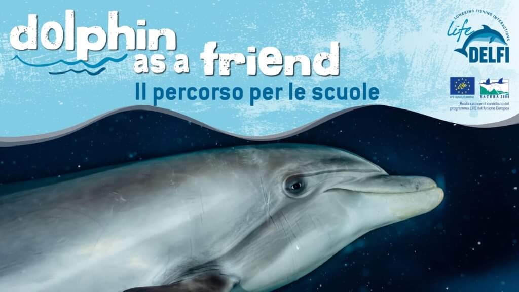 📢 𝐃𝐨𝐥𝐩𝐡𝐢𝐧 𝐚𝐬 𝐚 𝐟𝐫𝐢𝐞𝐧𝐝 Call for schools
🔵The second edition of the #dolphinasafriend educational path dedicated to primary schools and organised by Legambiente Scuola Formazione is now open. Info and rules👇
lifedelfi.eu/progetto/a-dol…
#LifeDelfi #LIFEproject