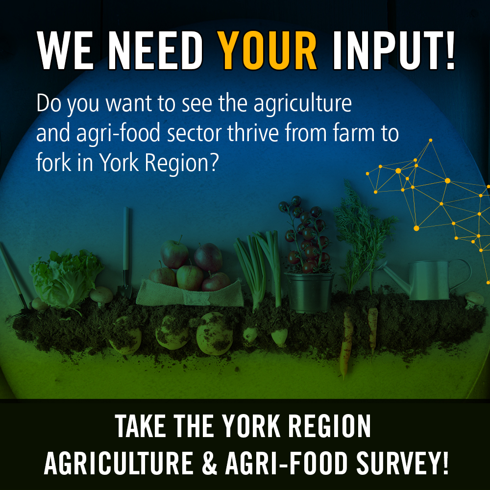 YorkLink's tweet photo. 🌾Whether you're a farmer, part of the #AgTech sector or have a food services business – we want your insights! Take our survey to inform #YorkRegion’s new Agriculture & Agri-Food Sector Strategy. It only takes a few minutes! 🍽️🥦 https://t.co/RiG80cOQyY #YRfood https://t.co/k6Xy3ddEwg
