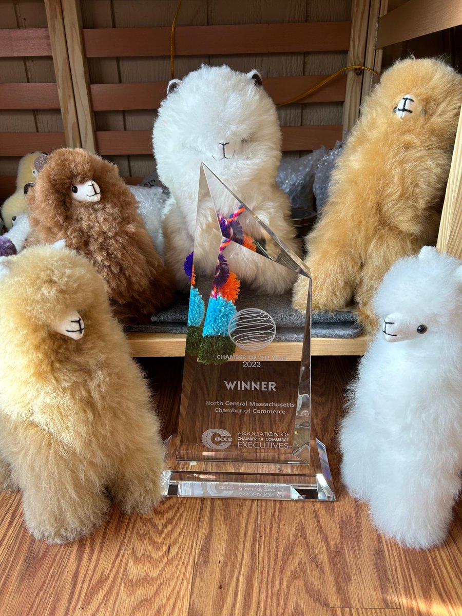 Excellence meets fluffiness! Our #ChamberoftheYear #TrophyTour takes a unique and delightful turn as we visit Chamber member Plain View Farm!Thank you to our members who helped us achieve this historic milestone #weloveourmembers #choosenorthcentral #chamberstrong #hubbardston