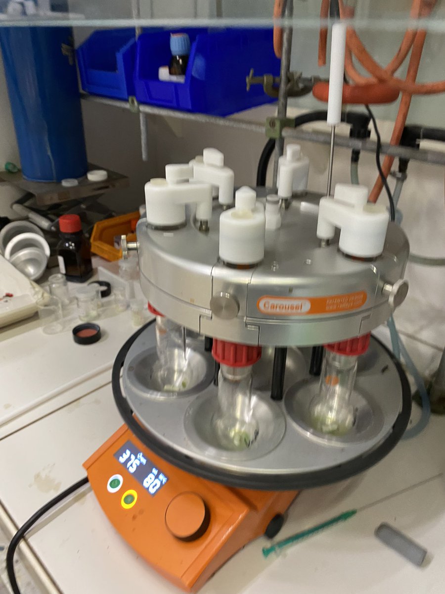 Israel T. Pulido-Diaz tweet media