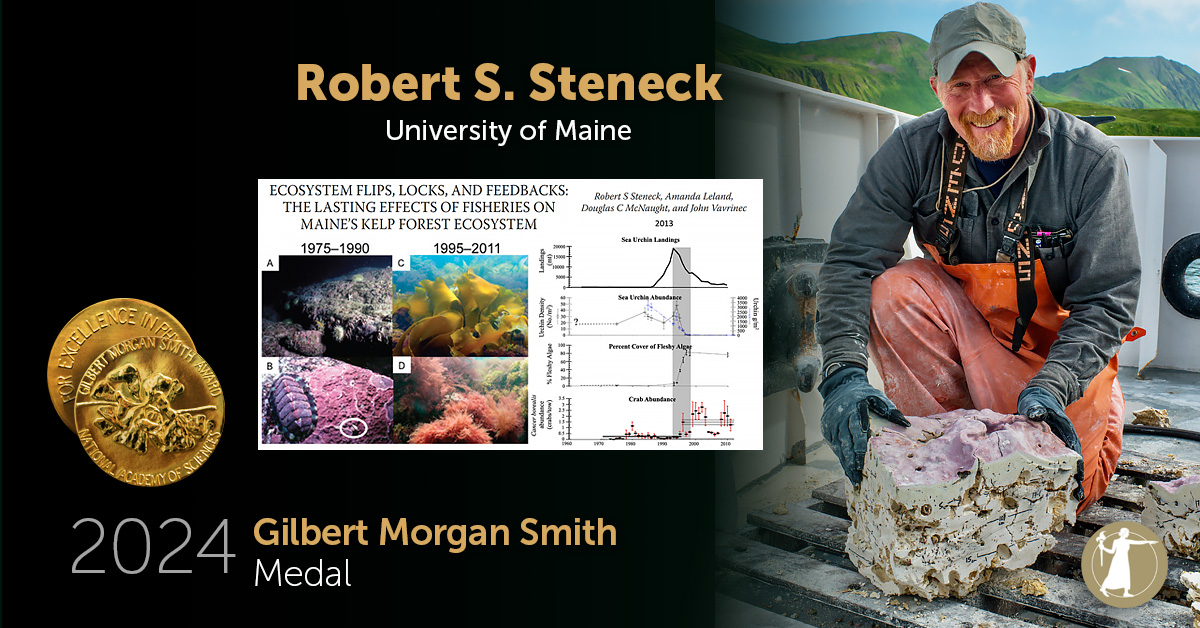 theNASciences's tweet photo. Congratulations Robert S. Steneck of @UMaine, recipient of the 2024 Gilbert Morgan Smith Medal! He is being honored for advancing understanding and conservation of marine ecosystems. Read about his contributions: https://t.co/RxyRYtV5aV #NASaward #conservation #environment https://t.co/PMuk8GyLtE
