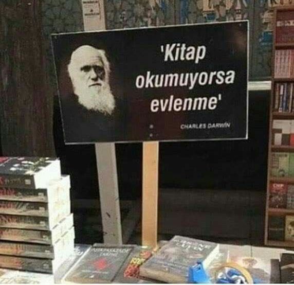 ŞEHO𝕏 (@kayaseho) on Twitter photo 