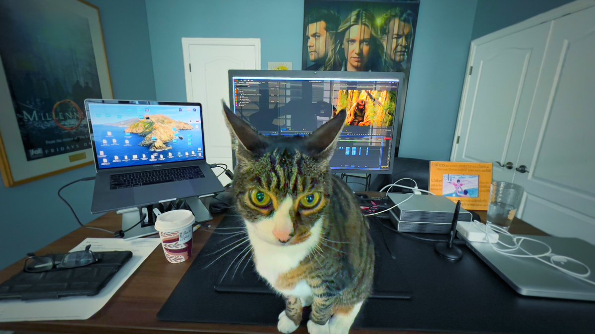 Not helping… but the love is appreciated, Lulu. #catediting #videoeditor #promos #videoeditor #editing #catslove #CatsOfTwitter