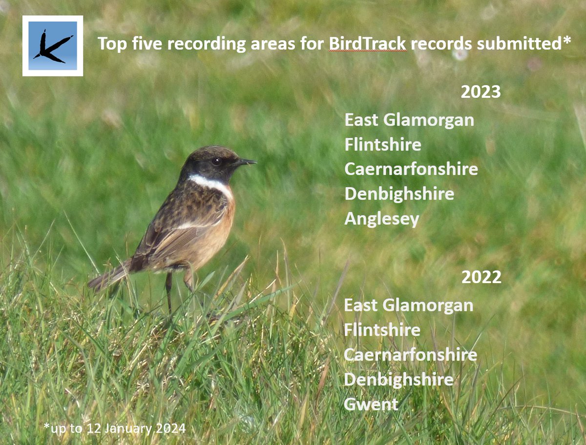 Since my timeline is full of everyone else's @BirdTrack stats, thought I'd take a look at what we'd all managed in #Wales. Will 2024 be the year that we crack half a million?