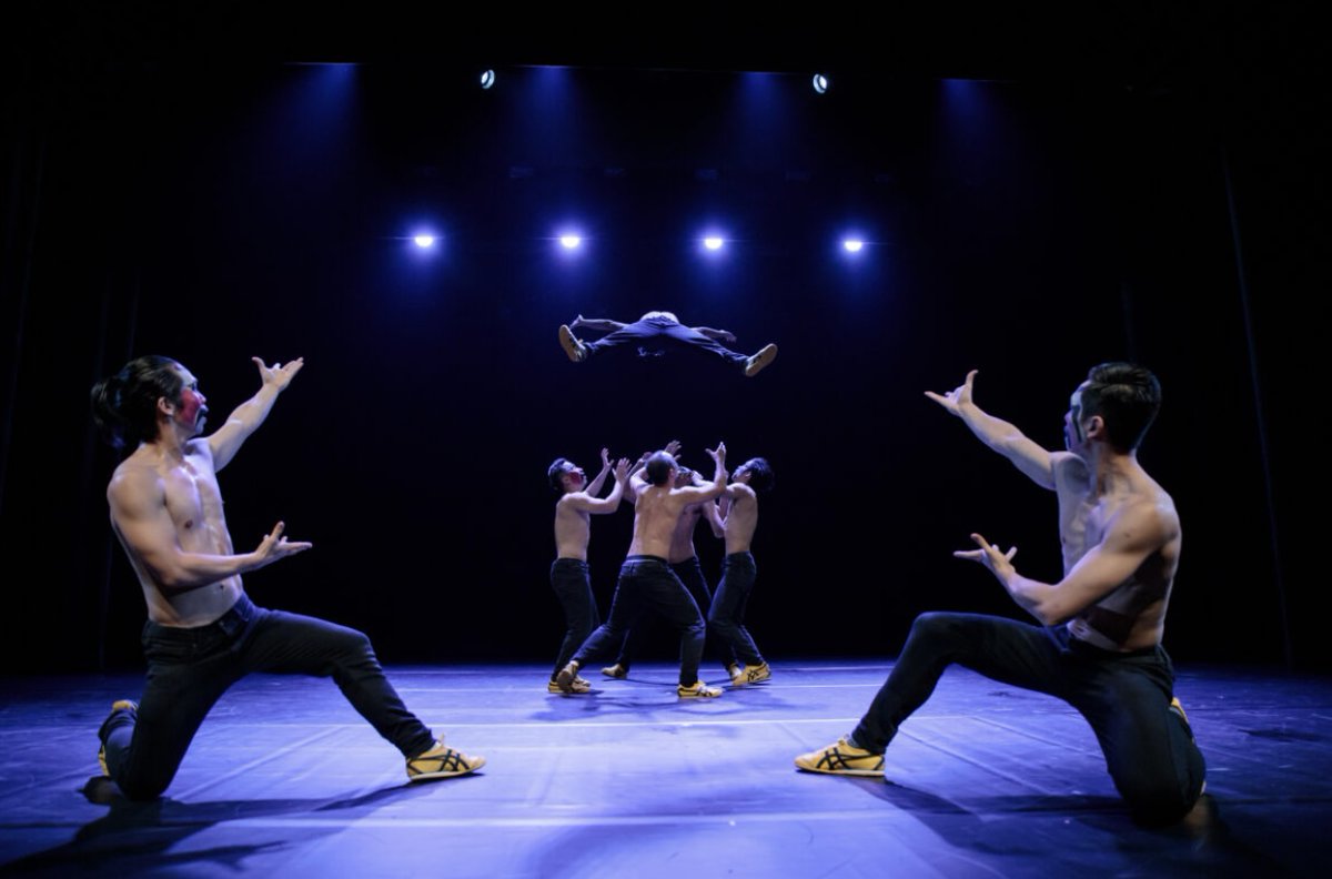 Company Chameleon tweet media