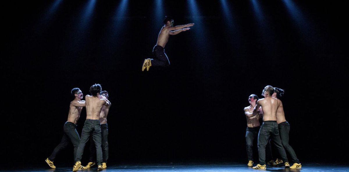 Company Chameleon tweet media