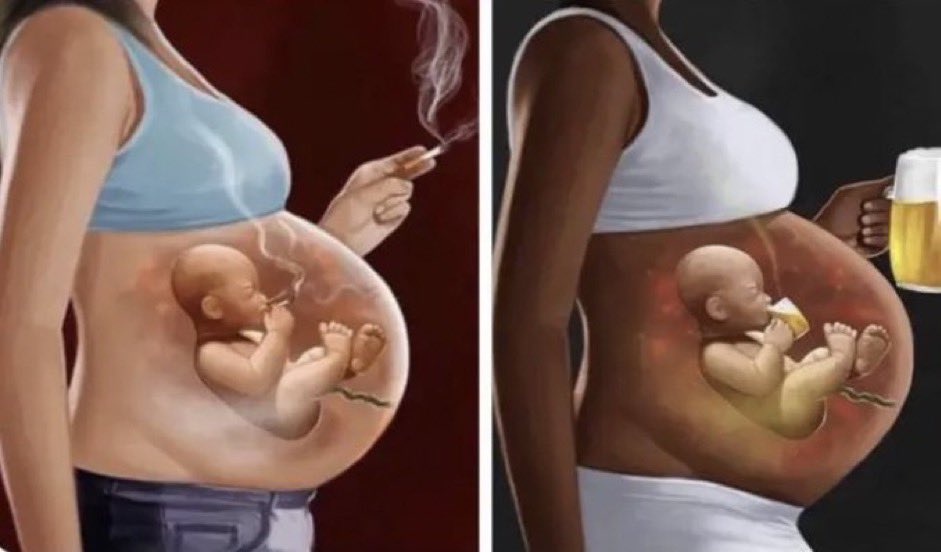 wie cool sind diese babies bitte