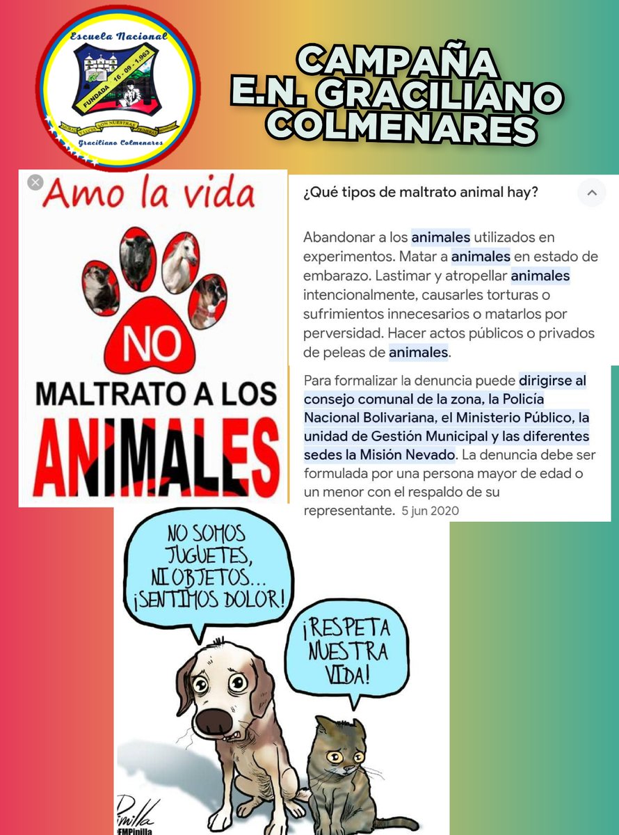 Campaña "No al maltrato Animal"