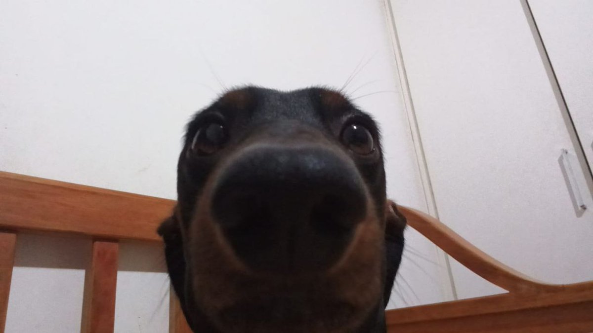 wonniri tweet picture