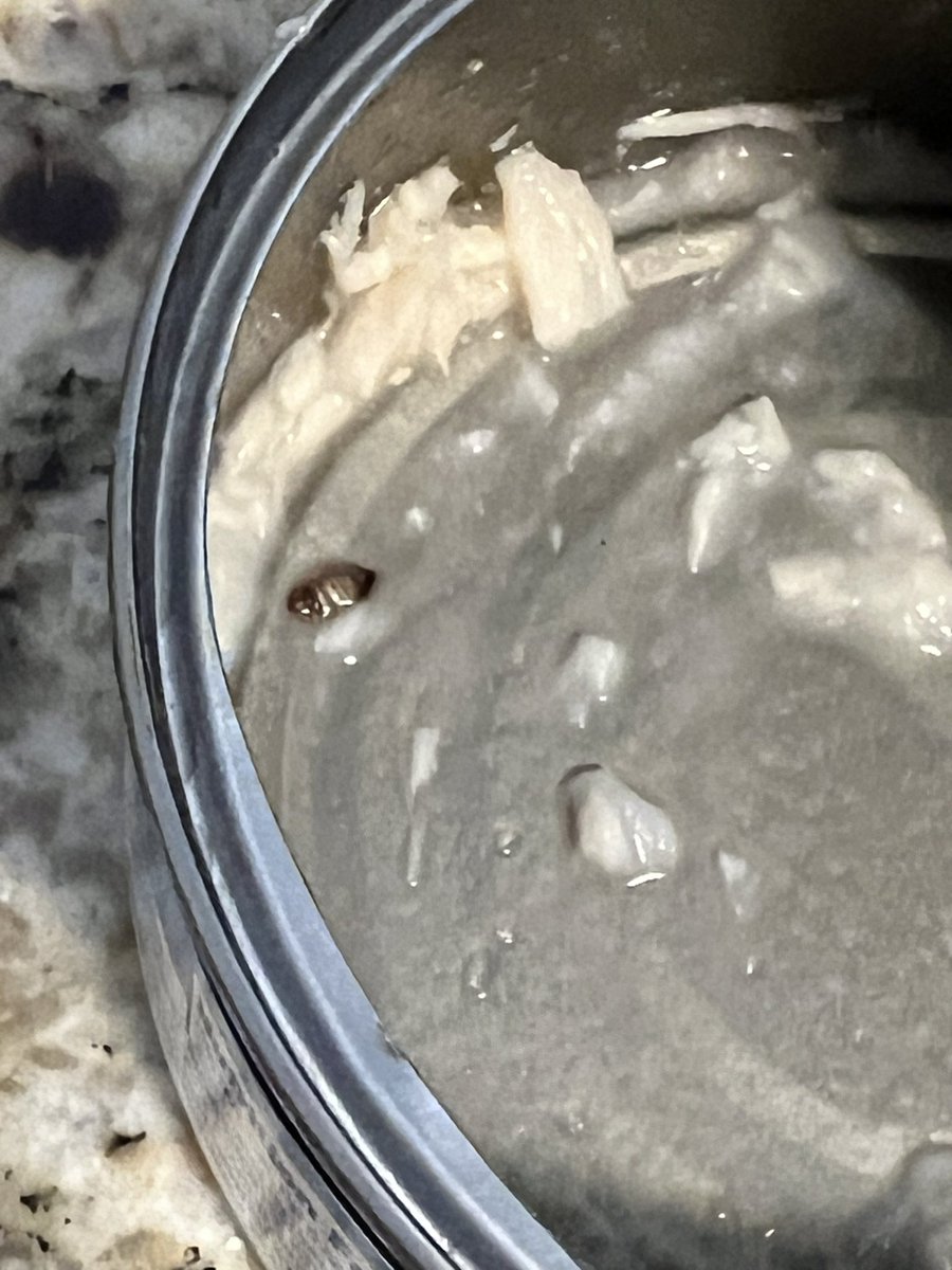 SingerMel's tweet photo. @CampbellCares don’t you also own Swanson canned chicken? Well today thought I’d make chicken salad how does a bug get inside the can 🤢 never again @CampbellSoupCo https://t.co/BnLSG8fzmT