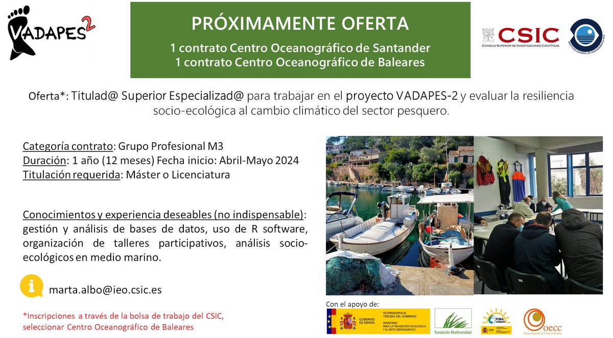 vadapes's tweet photo. Este 2024 venimos cargados de nuevos objetivos!🤩

Y para llevarlos a cabo buscamos a 2 personas que quieran trabajar con nosotr@s 👇

#ProyectosFB #adaptacionCC
@IEOoceanografia @FBiodiversidad https://t.co/QOE2Bn9L3Q