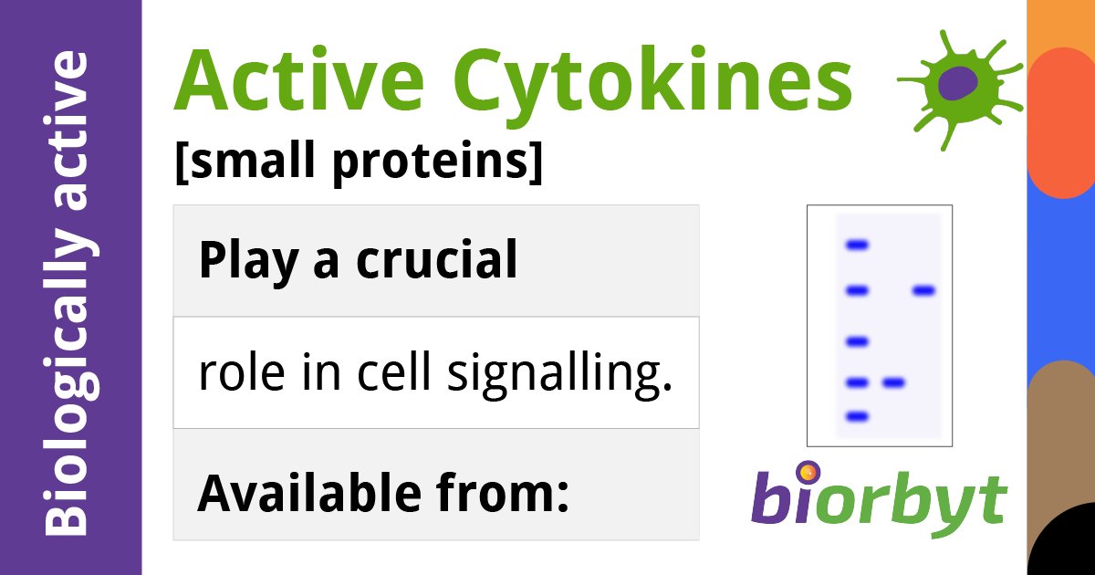 Cytokines are small proteins that play a crucial role in cell signalling. They act as messengers between cells, regulating various immune responses, inflammation, and communication among cells of the immune system.

👉 biorbyt.com/active-cytokin…