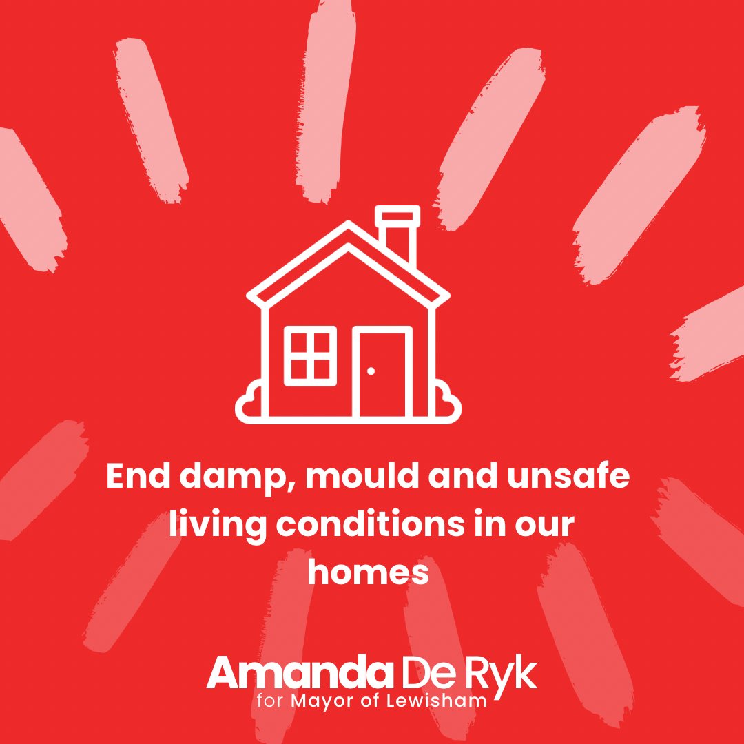 Tory austerity has created a housing crisis in Lewisham. I will prioritise ending mould, damp and unsafe living conditions in our social homes. I will crack down on rogue landlords, provide more supported living homes and create partnerships to regenerate our housing estates…