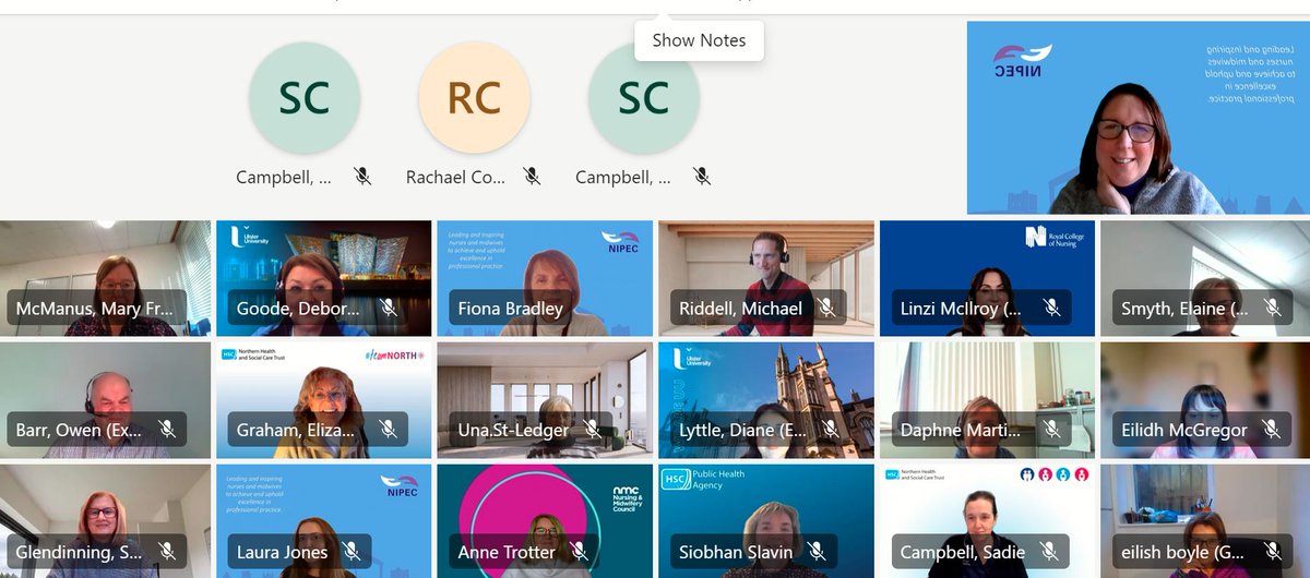 Fantastic engagement today at NIPEC & DoH Post-Reg Standards Implementation Steering Group – great progress being made @maryfrancesmcm3 @Lindak973 @Fiona57061071 @CNO_NI @CathyMcCusker2 @SharonBurnside7 @djlyttle @NealFCook @DonnaFitzQUB @MauriceDevine17 @nmcnews