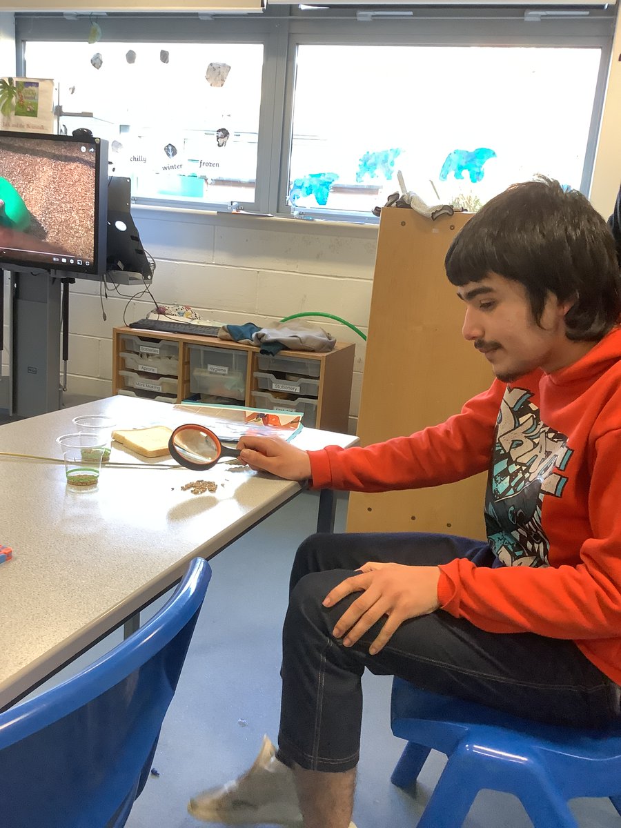 Fairfieldstweet's tweet photo. In science F10 are looking at how wheat becomes flour which is used to make bread #careers, #farminabox https://t.co/DhWMjo7ERd
