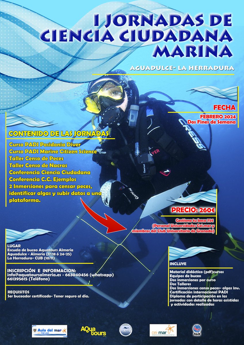 Estamos organizando unas jornadas muy completas! Si alguien quiere info MD. 🌊🤿
