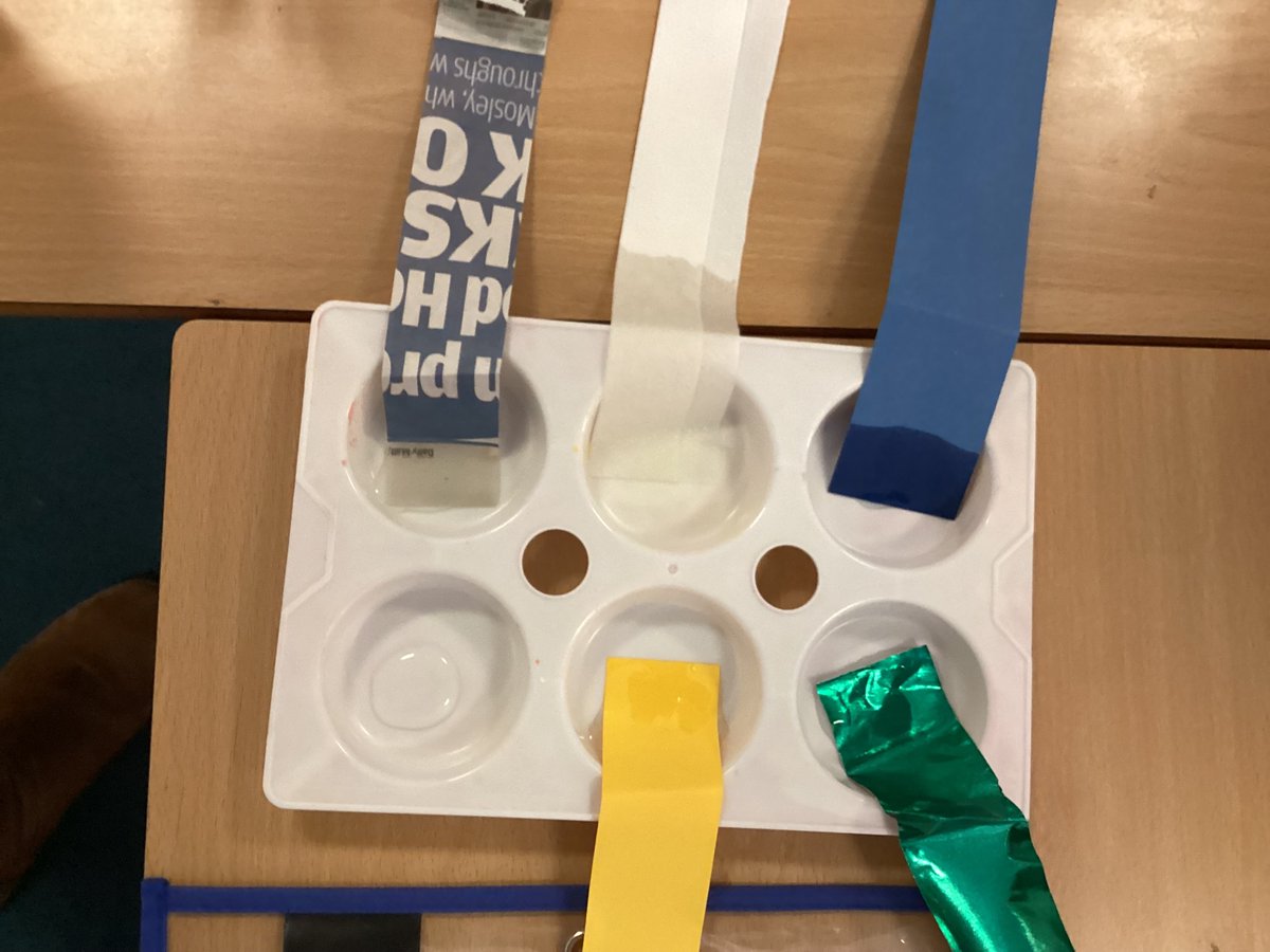 KatieManoy tweet media