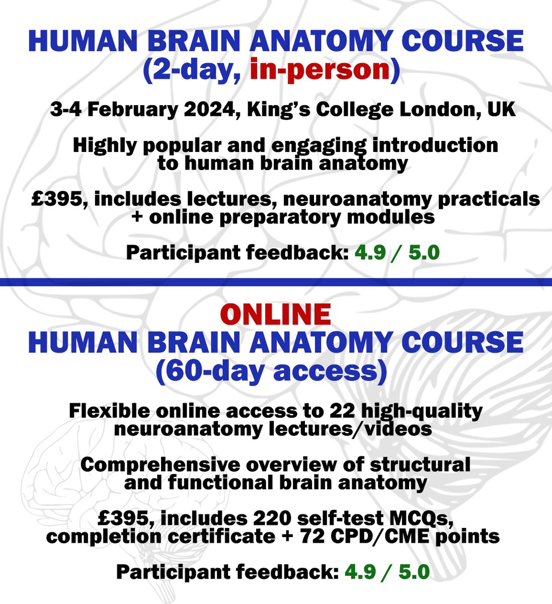 ONLINE HUMAN BRAIN ANATOMY COURSE (60-day access) ▶ More information / get instant access - neurocourses.com/online-course/… HUMAN BRAIN ANATOMY COURSE - in-person (2-day) ▶ More information / register now - neurocourses.com/attendance-cou…