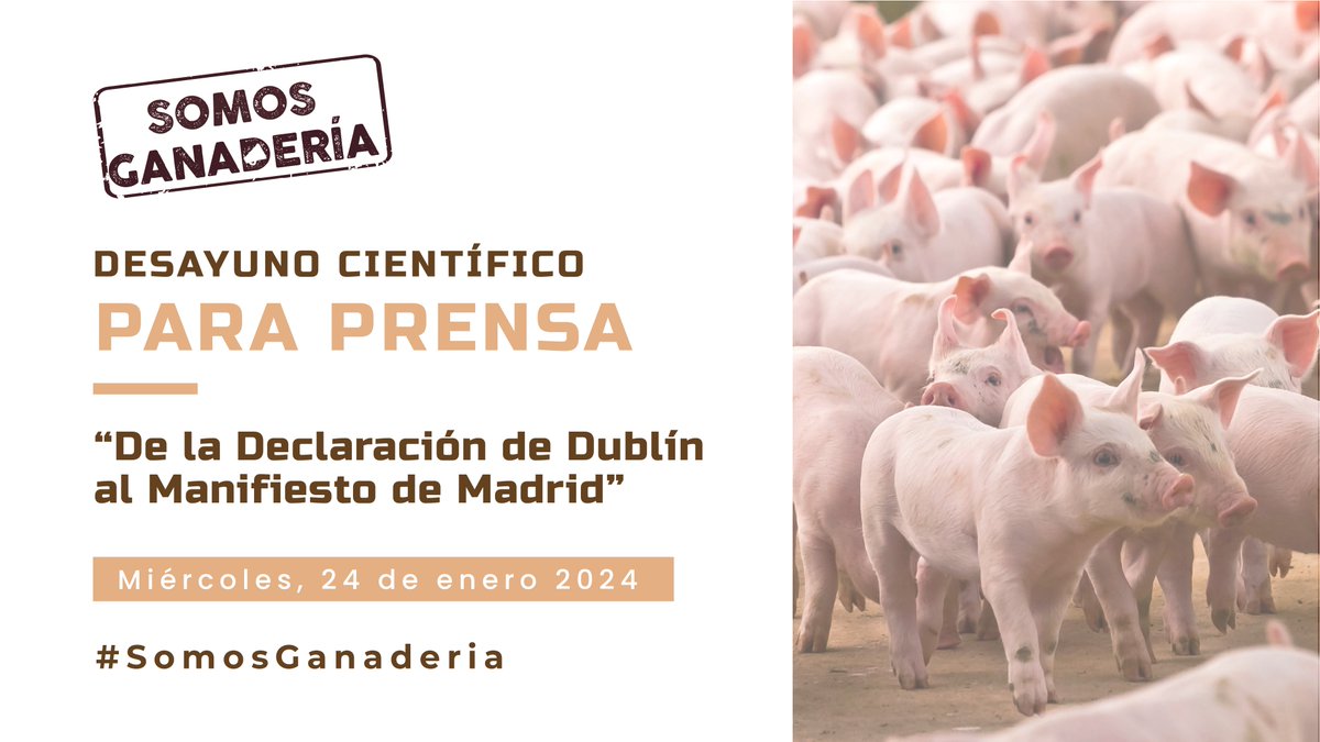 Agrifoodcom's tweet image. Comienza la cuenta atrás… ⏳

🔜👩‍🔬🐄 ¿Te has preguntado alguna vez cuáles son los fundamentos científicos que respaldan la contribución de la ganadería a diversos aspectos #medioambientales, #sociales y económicos?