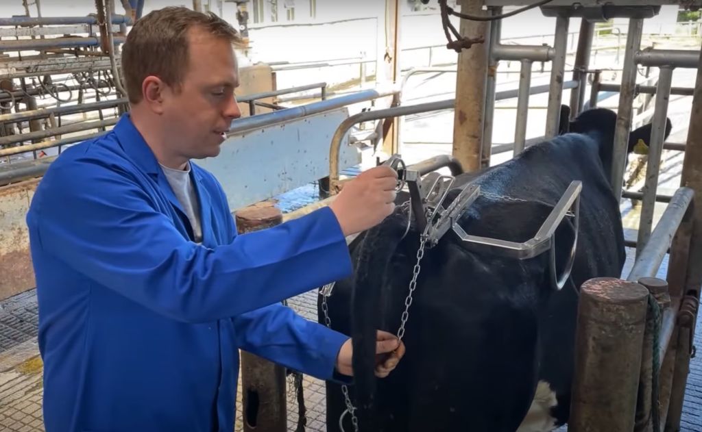 Tail_Jack_'s tweet photo. Thanks to Agriland for the great article on the Tailjack. Been a busy week of orders as people get their Tailjack to deal with fresh heifers. https://t.co/1RHllUm40o https://t.co/vqbbC3veId