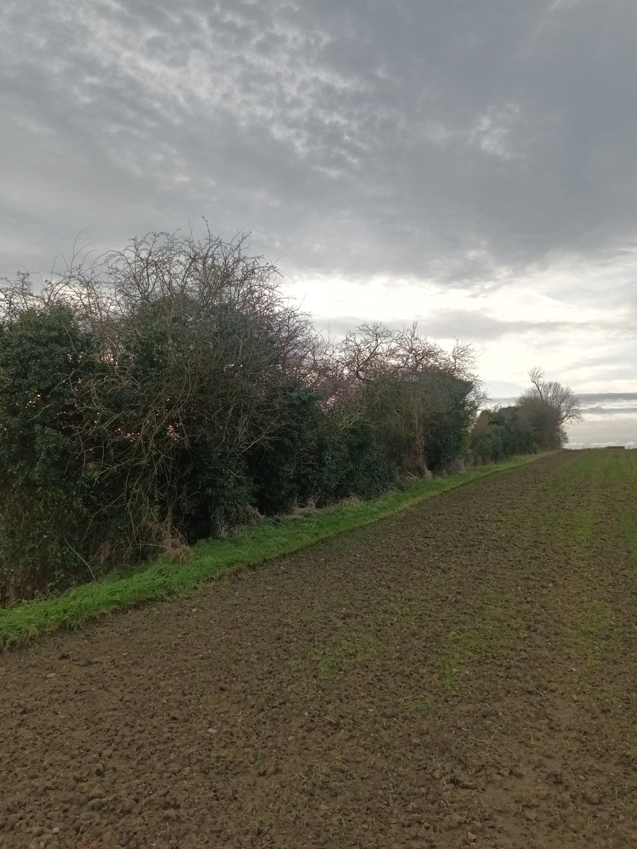 Harry Waudby tweet media