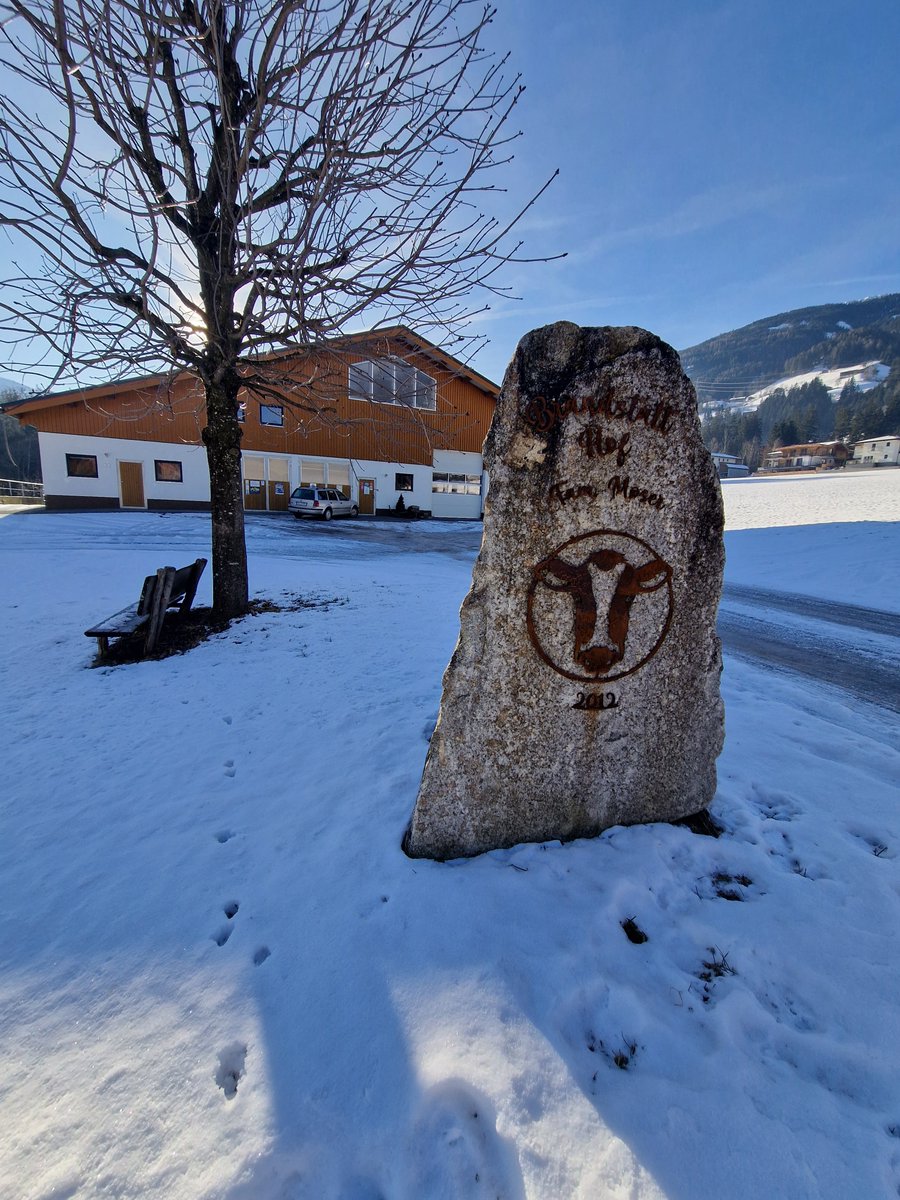 Itävaltalaista maataloutta. Keskellä kylää, hiihtohissien läheisyydessä lypsetään lehmiä.