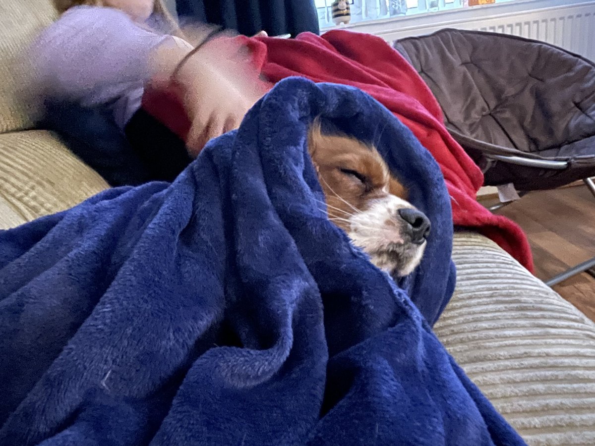 Ikkle Blue Amber Hood.