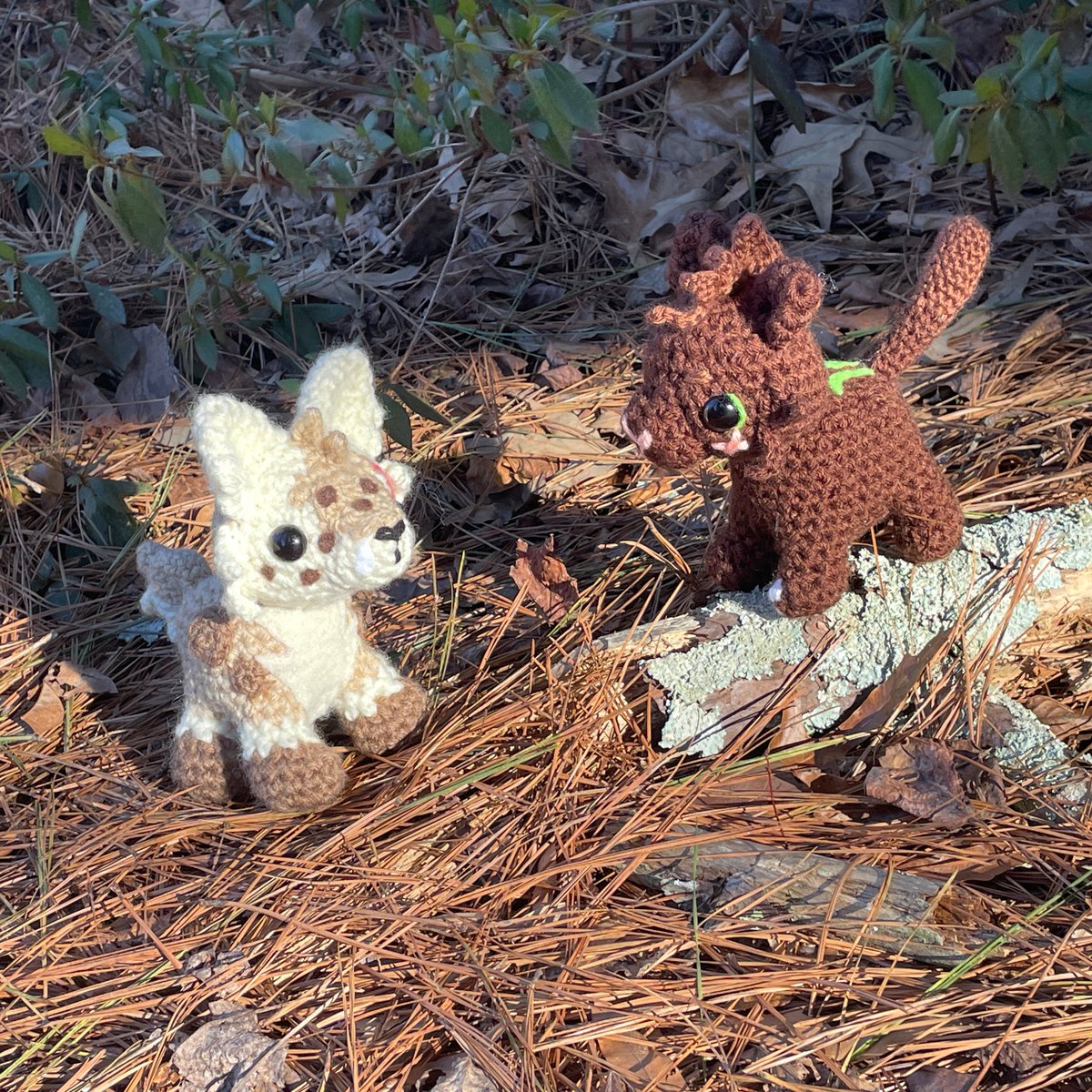Handhelld's tweet photo. ꩜ Crush 
꩜ He/They 
꩜ Queer
꩜ Just here to have a good time!

Things i enjoy!
❀ Soft cute art!
❀ Crochet and Plushmaking
❀ Seeing and creating OC content
❀ Warrior cats! https://t.co/ZhrNcwwiB6