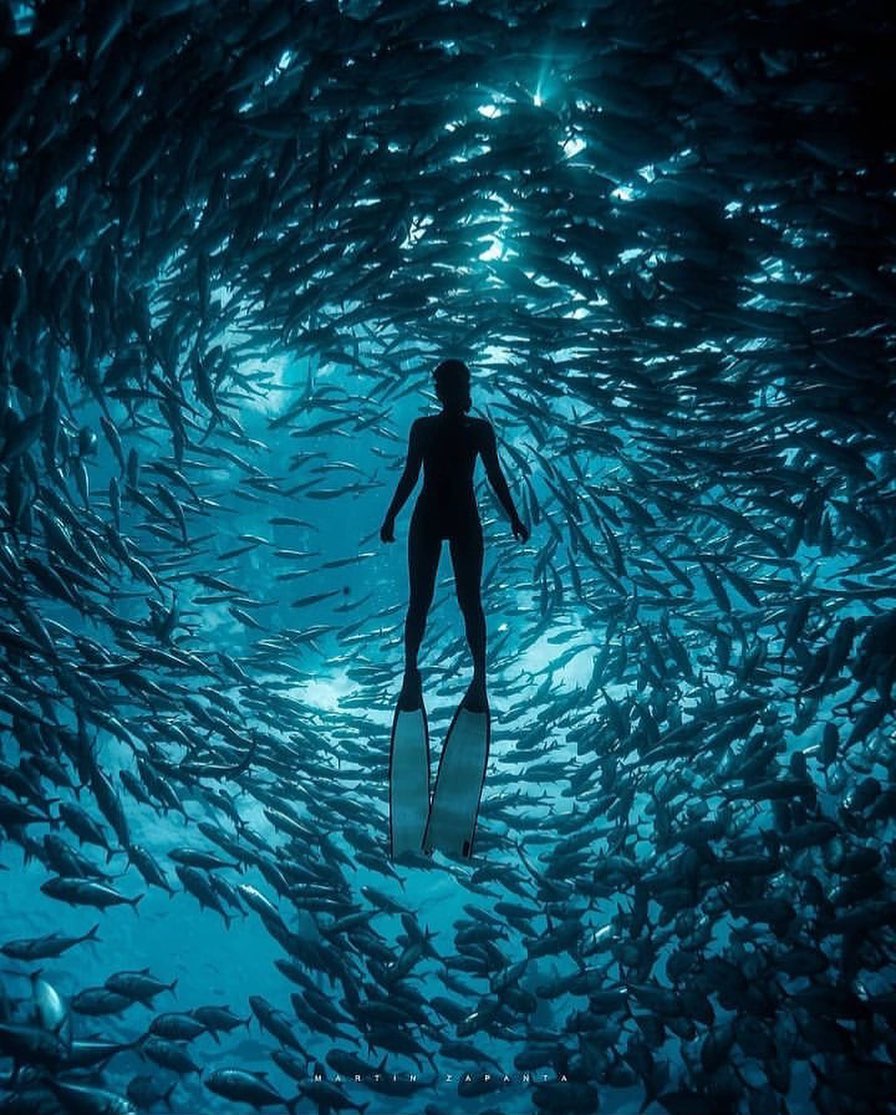 Nothing cooler like a diver's silohuette!! - - Tag someone who needs to see this💙 - #scubadivinggirls #diving_photography #wreckdiving #scubalove #cavediving #scubadiverlife #divingphoto