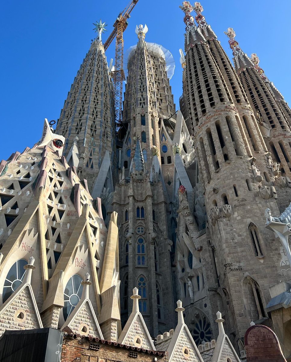 Miss Nelson tweet media