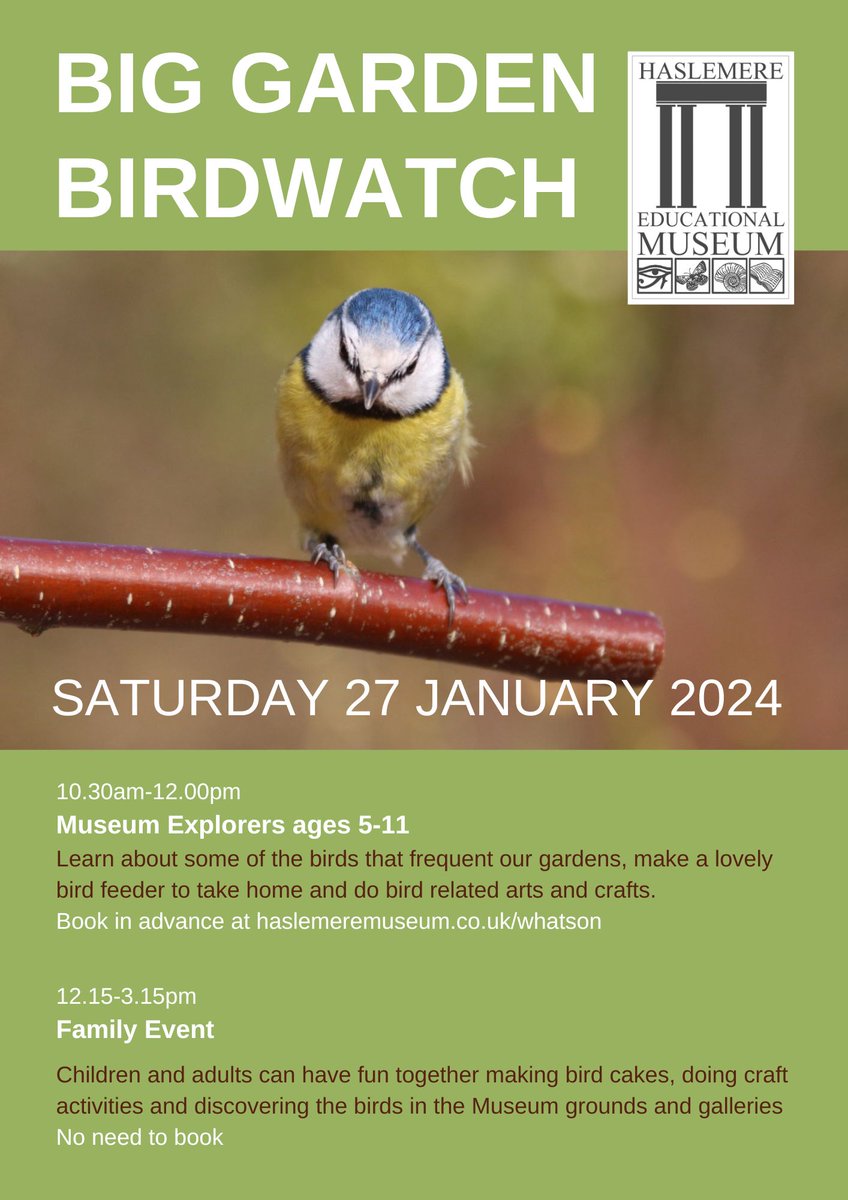 haslemeremuseum's tweet photo. Join us for one (or both) of our events during the RSPB's Big Garden Birdwatch this Saturday 27 January. Find out more at https://t.co/yXBKWCRfTE https://t.co/EXIDP5c5Lj