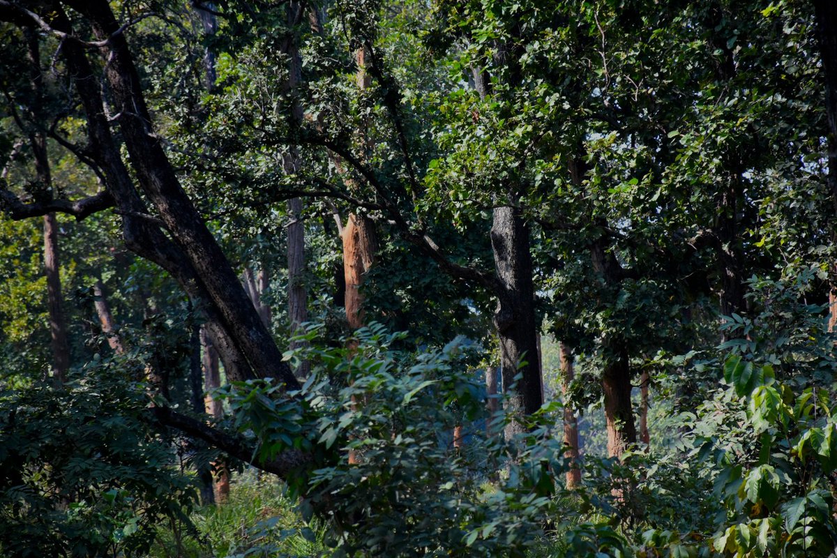 कुछ इलाकों में भगवान का अभिनय चल रहा था. अभिनय करते एक कलाकार गिर गए. हार्ट अटैक आया था. लोग अद्भुत अभिनय समझकर तालियां बजाते रहे. अस्पताल पहुंचने से पहले वे मर गए. अभिनय भगवान का ही क्यों न हो, हमें कोई बचा नहीं सकता. अपना, आस-पड़ोस का और प्रकृति की परवाह करें. जिंदा बचे रहेंगे.
