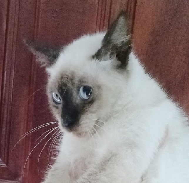 พุงกระสับกระส่าย (@nn_butterr) on Twitter photo 