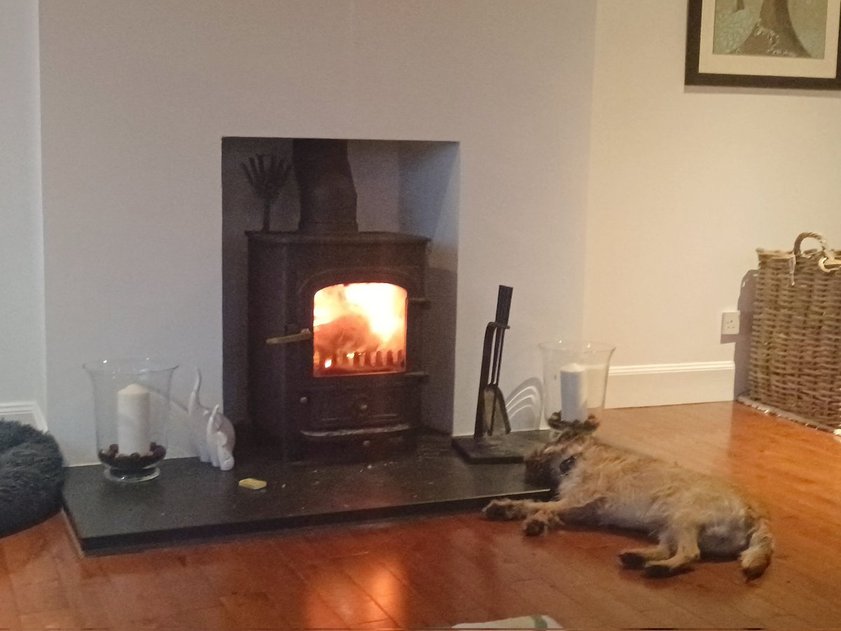 I don't like this storm #BTposse it makes the boats make a high pitch sound. I do like the fire and I try and get as close as possible lots of love Millie 😘🐕🤗