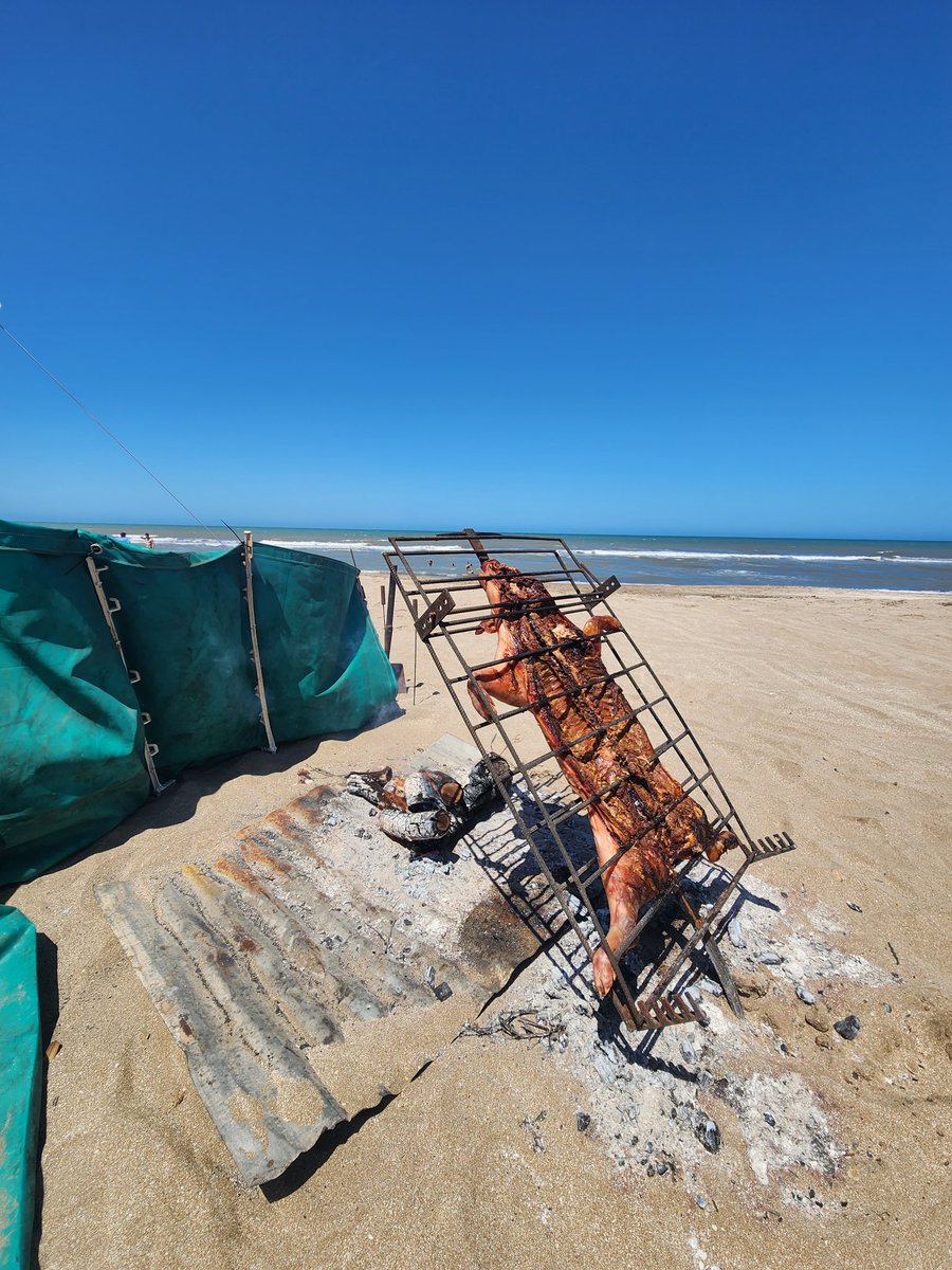 OrneTurrini's tweet photo. @MartinTurrini haciendo de las suyas en la Frontera 🐷🏖 https://t.co/b5EQdPVP1S