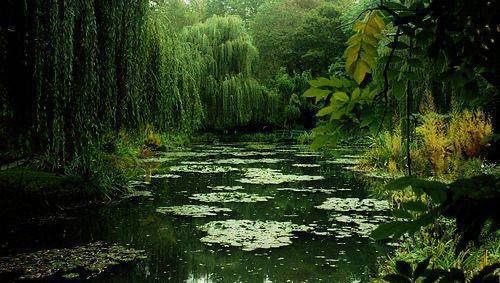 greendreamvibes's tweet photo. https://t.co/Kl31C3IGJb