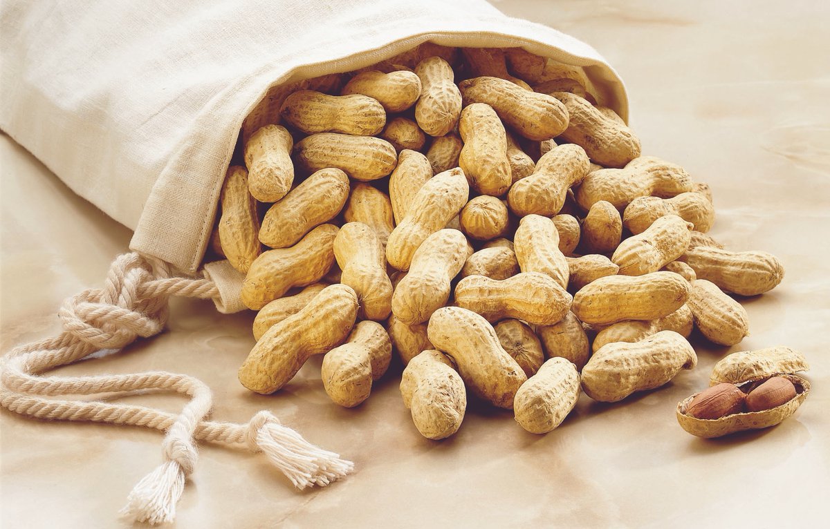 NCpeanuts's tweet photo. When you think of Southern foods, you think of #peanuts! π₯
About 68% of all peanuts in the U.S. are grown in the Southeast, and the majority of peanuts from North Carolina are brought to the consumer as in-shells. π¨βπΎ
#NCpeanuts #nationalsouthernfoodday #inshellpeanuts https://t.co/3eSKUoW2tp