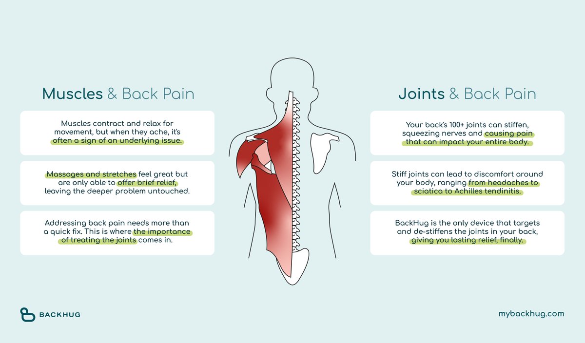 ❌ Myth: Back pain is all about muscle tension
✔️ Truth: Stiff joints compress your nerves and cause pain throughout your body!

#BetterBackCare