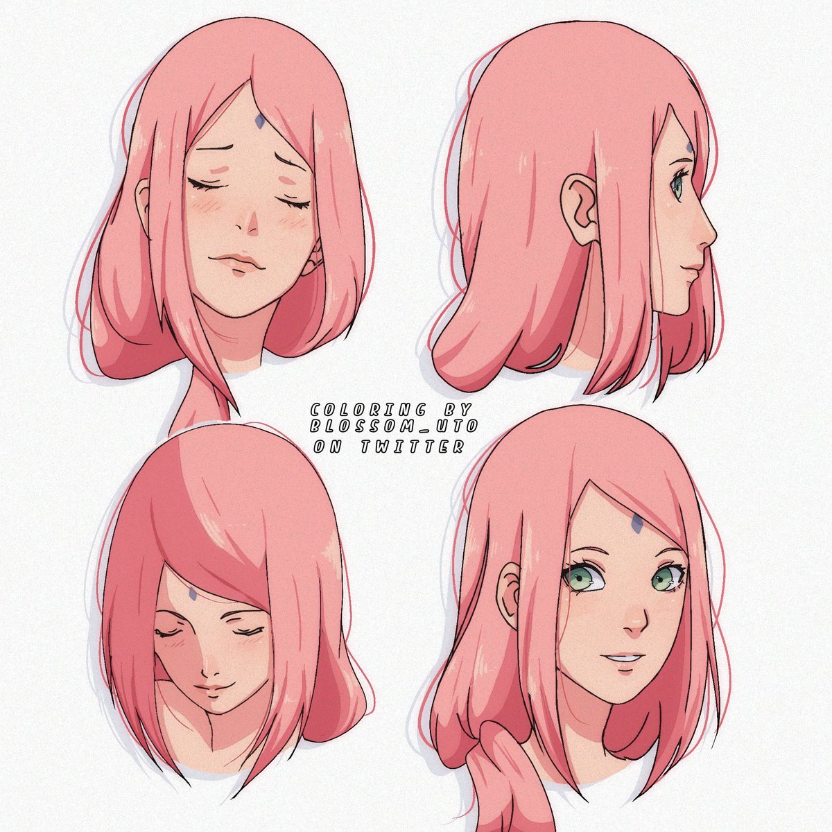 Post by 𝖻𝗅𝗈𝗌𝗌𝗈𝗆 𓈒⁺ on X: 🌸🖌
