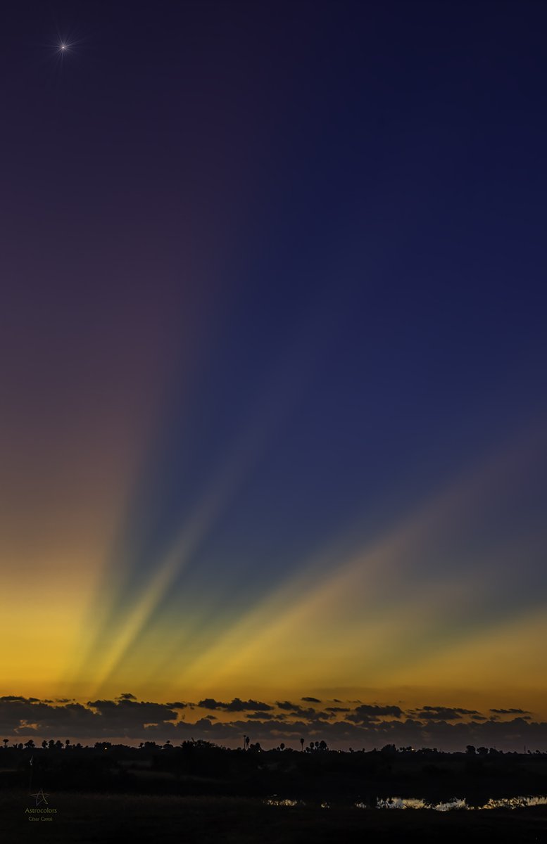 Venus en un muy frío amanecer.
#Astrocolors