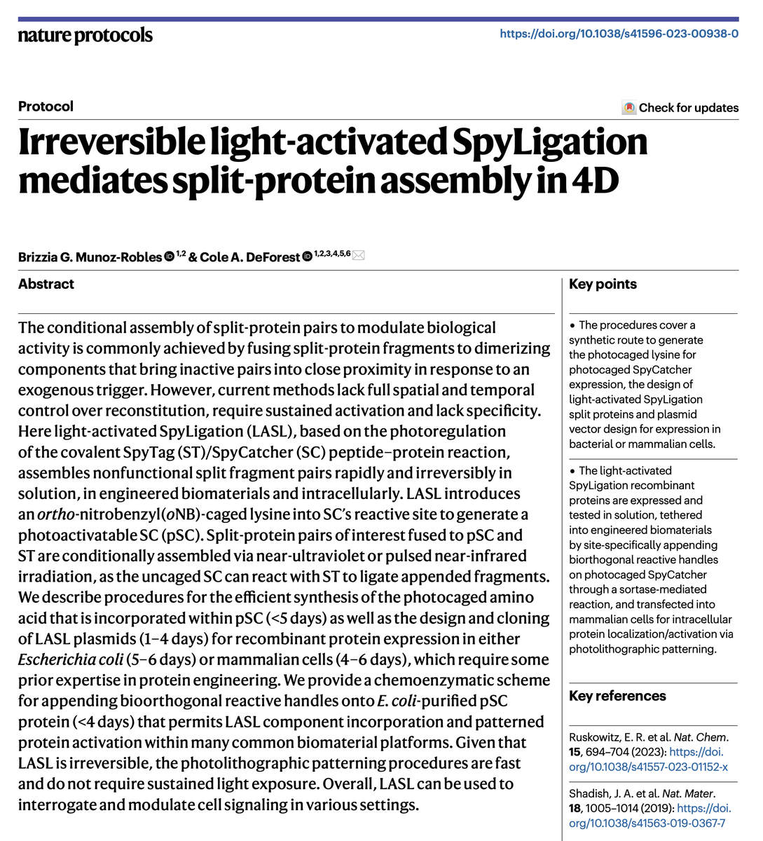 coledeforest's tweet photo. Interested in getting Light-Activated SpyLigation (#LASL) up and running in your lab, but want more specific guidance? Check out @BrizziaMunoz's new @NatureProtocols paper: "Irreversible light-activated SpyLigation mediates split-protein assembly in 4D"!
https://t.co/AL6b4csW8c https://t.co/ugxjwpyBfh