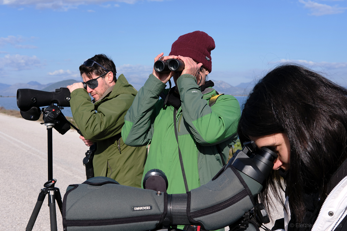 ornithologiki's tweet image. 🔭 Εκατοντάδες παρατηρητές πουλιών έδωσαν και φέτος ραντεβού σε υγρότοπους όλης της χώρας για τις Μεσοχειμωνιάτικες Καταμετρήσεις Υδροβίων Πουλιών #ΜΕΚΥΠ2024. Παρά τη μειωμένη φτερωτή... κίνηση λόγω καλοκαιρίας, ήδη πάνω από το 80% της έκτασης των υγροτόπων έχει καλυφθεί!