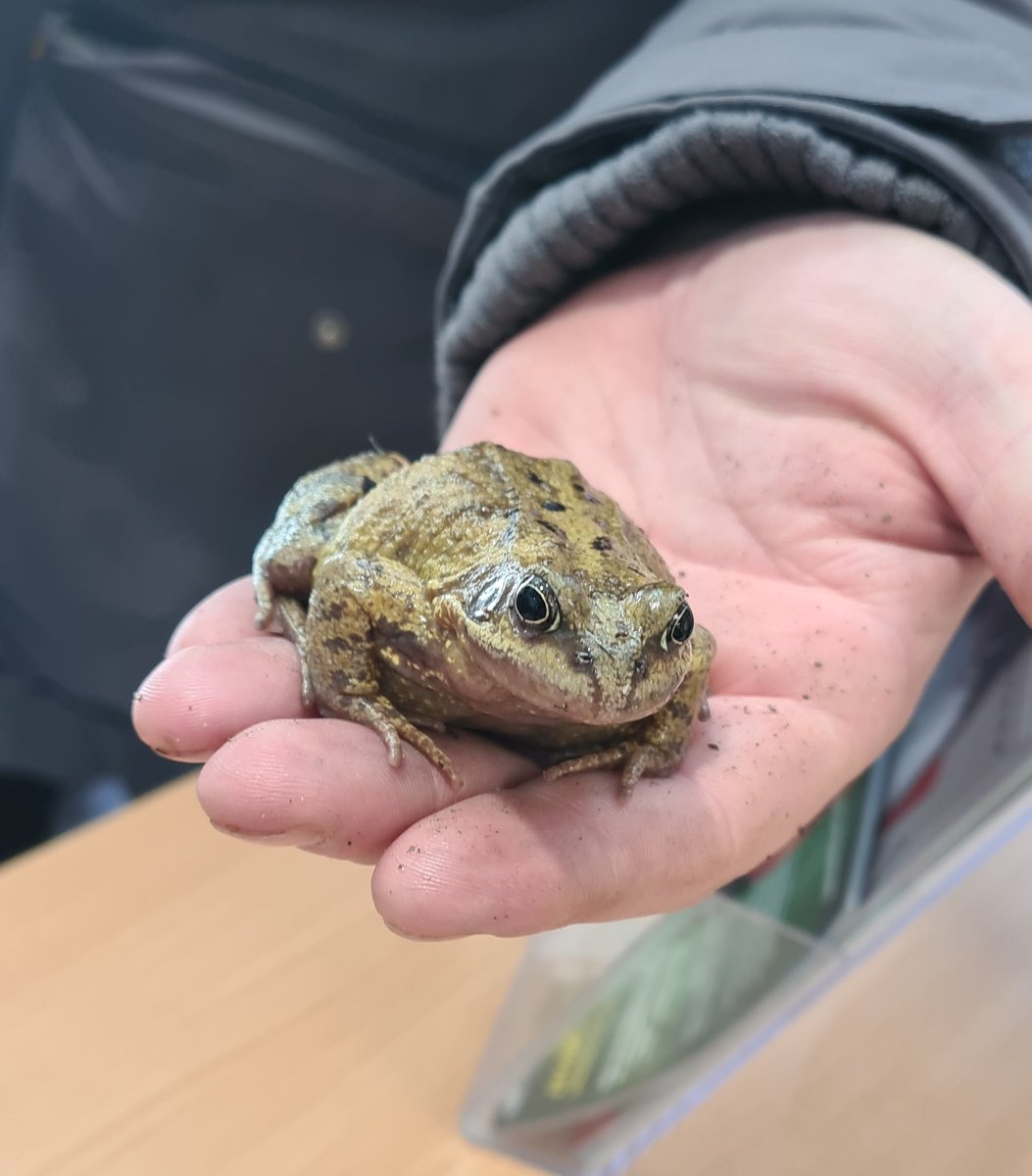 HalilMrT - Official tweet media