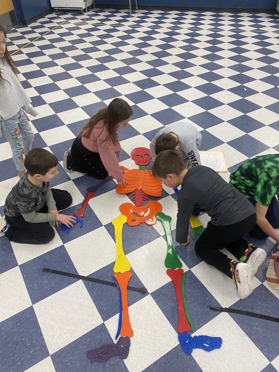 BRPE10's tweet photo. Betsy 2nd graders learning about their bones and muscles during a skeleton relay!    @BetsyRossMahwah   #mahwahconnects. https://t.co/dspwBcYMWY