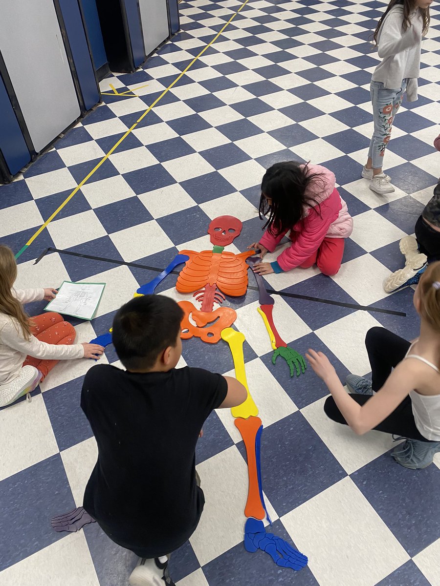 Betsy 2nd graders learning about their bones and muscles during a skeleton relay!    <a href="/BetsyRossMahwah/">Betsy Ross School</a>   #mahwahconnects.
